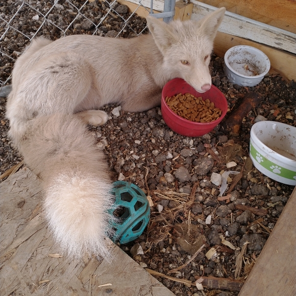 Meet your Posher, Vikki - Picture 7 of 12